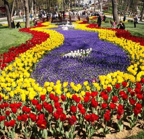 Istanbul Tulip Festival 2025