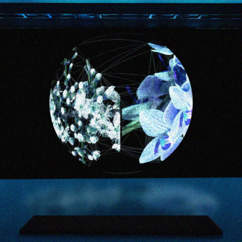 Istanbul Digital Art Festival 2025
