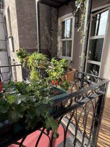 Istanbul Boutique Hotel, Beyoglu Hotels, Istanbul Accommodation, Istanbul 2026 Hotels