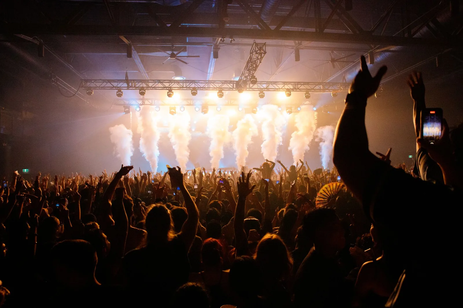 Nancy Ajram Istanbul 2026 fans cheering at a live arena show